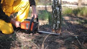 Best Lawn Disease Treatment  in Obetz, OH
