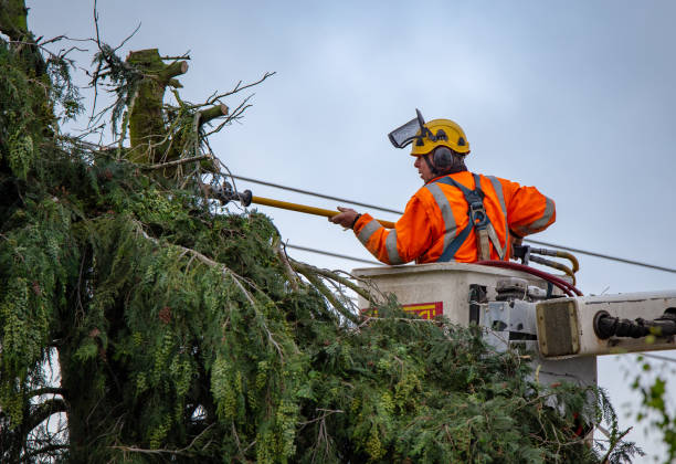  Obetz, OH Tree Care Pros